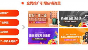 站点广告（接x站的广告联盟）