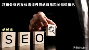 seo自动优化软件下载（seo自动推广软件）
