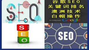 宁波seo关键词优化报价_宁波seo专员