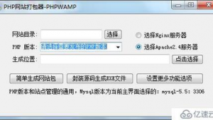 exe软件运行网站是什么（exe程序软件）