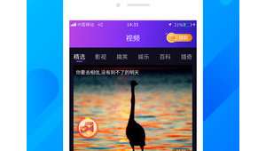 雏鸟app导航站（雏鸟短视频app网址）