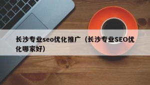长沙seo的优化外包_长沙网站优化外包公司