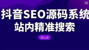 seo关键词优化软件app（沈阳关键词优化价格）