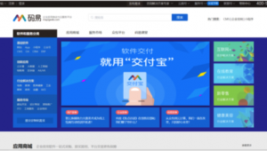 软件外包网址大全（软件外包平台哪个好）