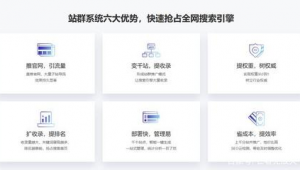 站群 系统