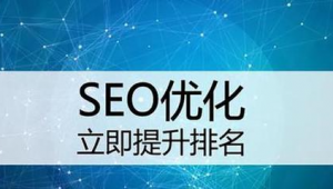 鄂州seo推广策略有哪些公司_鄂州seo排名按天计费