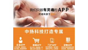 二手电商网站开发软件哪个好（二手电子商城）