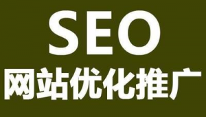 网址优化推广（网站推广优化是什么意思）