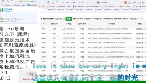 d58站群官网（dz站群软件）