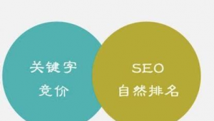 南京网站关键词优化（南京关键字搜索排名）