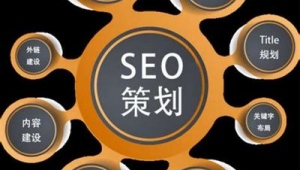 其余网站内容优化软件叫什么_网站优化常用工具
