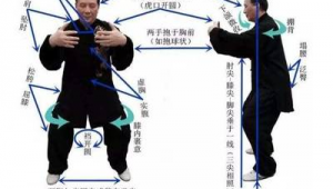如何加入站桩养生群聊（哪里有站桩培训班）