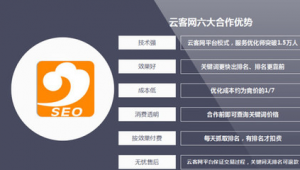浙江sem网站推广公司（seo软件排名）
