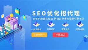 seo排名优化软件哪个好（seo排名优化什么意思）