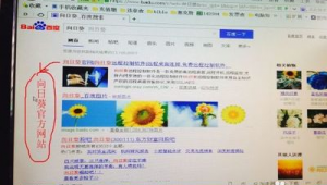 向日葵app下载软件园（向日葵软件app官方）