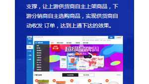 建商城网站软件是什么（建ic商城）