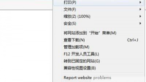 软件缩放网站下载(软件缩小)