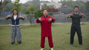 王芗斋大成拳站桩视频（王珍清大成拳学费）