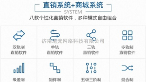 山东做网站的公司（网站app运营）