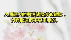 普宁网站优化排名软件有哪些（普宁网批平台都有哪些）