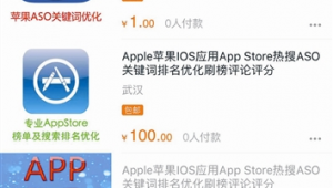 app store软件优化