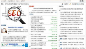 吉林seo推广软件有哪些（吉林网站推广公司）