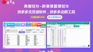 软件项目课程网站排名（软件项目讲解）