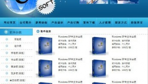 网站做成软件(网站制作的软件)