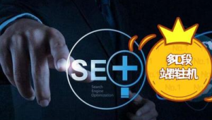 站群ip是不是独享_站群ip和云服务器IP哪个用游戏好