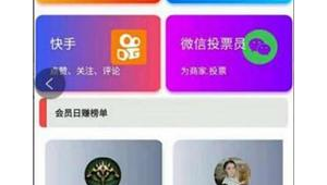 投票软件赚钱吗（投票网站用什么赚钱）