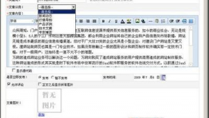 网站文章撰写（网站文章编辑器）