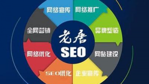 昆明seo案例_昆明seo网站优化