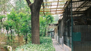 芳群园房价（芳群园社区服务电话）