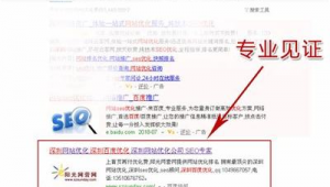 西安seo顾问公司（西安seo全网营销）