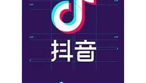 抖音seo软件工具（抖音seo公司）