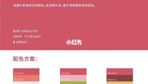 网站配色方案设计（网站的配色方案）