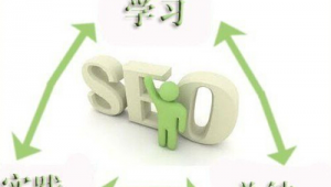学seo容易吗_seo好学吗入门怎么学