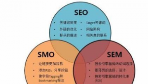 seo站群技术（seo团队如何建立）
