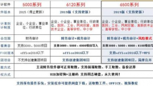 审计软件购买网站有哪些（审计专用软件）
