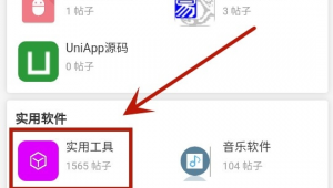 i app软件(app网站ios)