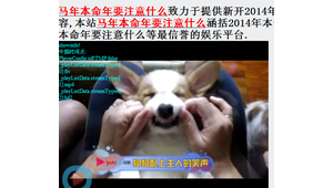 网络红人龙少的资料（b站龙少是谁）