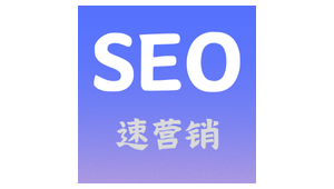 优化公司是怎么做网站优化的_网站优化公司前十排名