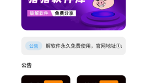 猪猪软件库网站版（猪猪软件园）