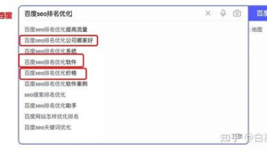 百度seo排名优化是什么（百度seo快速排名优化软件）
