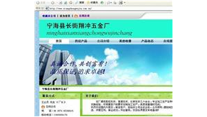 宁海网站推广软件招聘（宁波推广软件）