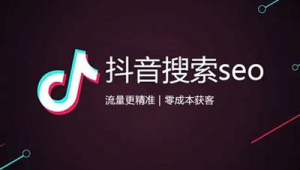 成都抖音seo软件公司（抖音seo是指什么意思）