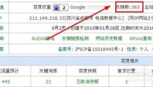 站群软件哪个好_站群软件哪