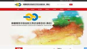 乌鲁木齐软件公司有哪些（乌鲁木齐top2000）