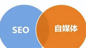 延安seo站内优化服务有哪些_延安seo站内优化服务项目