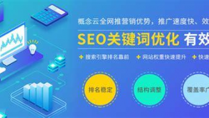 优秀的网站优化推广案例_网站优化推广seo